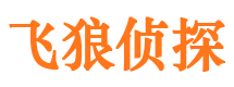 昌江县市侦探公司